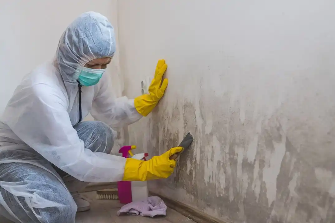 water damage restoration service Oak Road Meadows